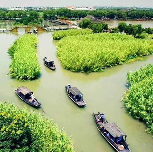 春色莫辜負(fù),常熟兩大景點(diǎn),沙家浜VS尚湖,哪個更值得一去?